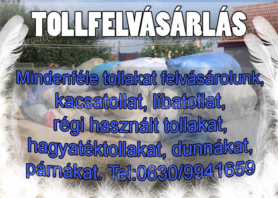 tollfelvásárlás