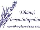 Levendula palánta tihanyi őstermelőtől, több fajta, kis- és nagy tételben eladó