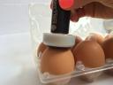 Kézi tojásbélyegző,  tojás pecsét