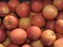 I. osztályú Almák eladók (Gála,  Red Prince,  Jonagored) 70-75, 75-80, 80-85 mm méretben