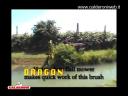 Calderoni Dragon hidraulikusan kihelyezhető rézsűkasza család