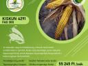Korai kukorica vetőmag (FAO 290)