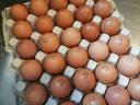 Füzesgyarmaton étkezési tojás kapható kis és nagy mennyiségben