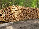 Eladó faanyagok erdőgazdálkodótól