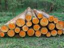 Eladó faanyagok erdőgazdálkodótól