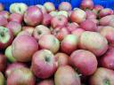 Gyümölcslé készítés,  bér feldolgozás,  alma,  körte,  cékla,  szőlő bér préselés bag-in-box