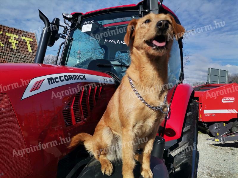 Mc Cormick traktor,  krone bálázó Kc-Békés Kft