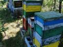 Méh kaptárak eladók