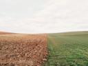 Az ország több pontján és Romániában lévő földek,  /szántó,  legelő,  gyep,  rét/ eladók