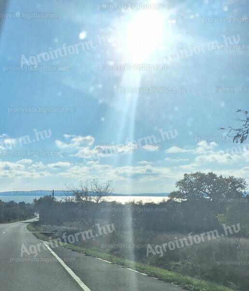 Balatonakali 5 hektár szőlő és/vagy gyümölcsös telepítésre előkészített,  panorámás,  beépíthető