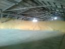 ISCC-s,  magyar termelésű 270 tonna 2022-es kukorica eladó