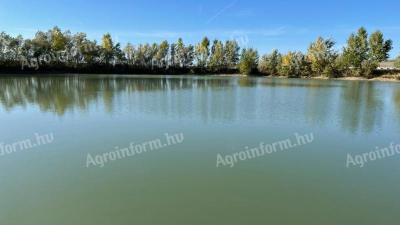 Soprontól 30 km-re Vitnyéden eladó egy csodaszép 5,1 hektáros terület 1,9 hektáros tóval