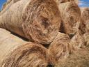 Jó minőségü,  2023-as Kazaltakaróval takart lucerna bálák eladók