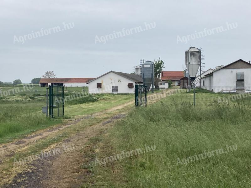 Napelemmel üzemeltetett telep