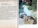 Papagájok (tartás,  tenyésztés,  fajok,  könyv