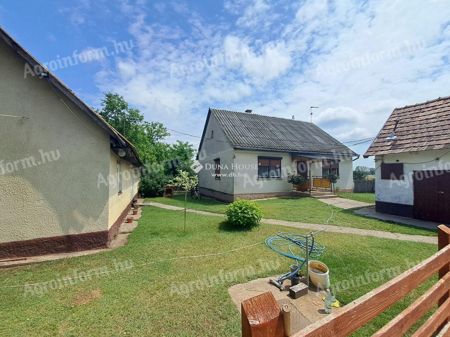 ELADÓ 24 HEKTÁROS TANYA - Bács-Kiskun vármegye Lajosmizse - Agroinform.hu