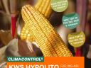KWS HYPOLITO (FAO 350-400) kukorica vetőmag