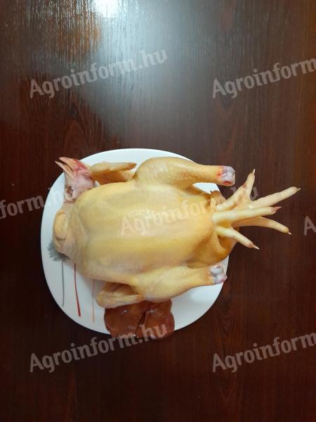 Konyhakész és élő házi csirke rendelhető őstermelőtől