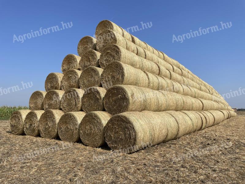 Okrugle bale pšenične slame za prodaju u rinfuzi