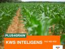 KWS INTELIGENS (FAO 400-450) kukorica vetőmag
