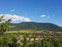 FELSŐTÁRKÁNY külterületén csodás panorámával KÉT TELEK (összesen 3,6 ha) ELADÓ