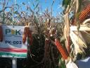 PK-003 Organikus Kukorica Előrendelési AKCIÓ! – Állattartóknak