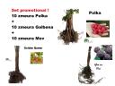 10 db piros málna + 10 db sárga málna + 10 db lila málna
