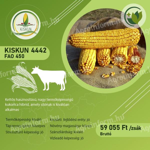 Kettős hasznosítású kukorica vetőmag (FAO 450)
