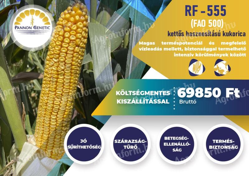Pannon Genetic RF-555 (FAO 500) kettős hasznosítású kukorica vetőmag