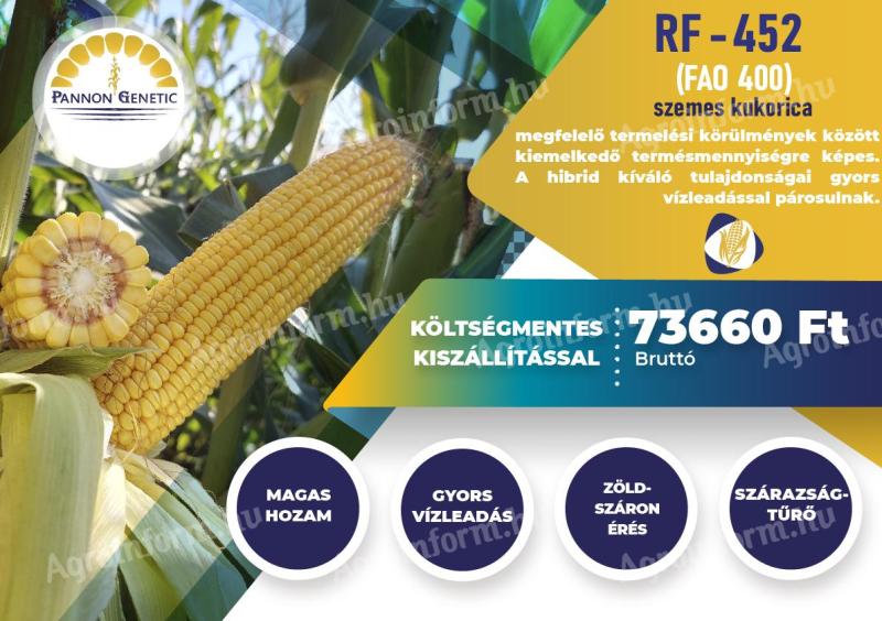 Pannon Genetic RF-452 (FAO 400) kukorica vetőmag