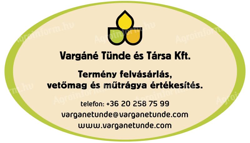 GABONAKUTATÓ kukorica és napraforgó vetőmagok 2025 - Vargáné Tünde és Társa Kft