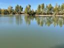 Soprontól 30 km-re Vitnyéden eladó egy csodaszép 5,1 hektáros terület 1,9 hektáros tóval