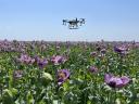 Drónos növényvédelmi permetezés