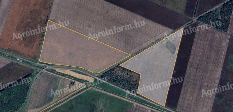 22 hektár szántó eladó - 606 AK - betonút mellett - Kőröstetétlen és Szolnok között