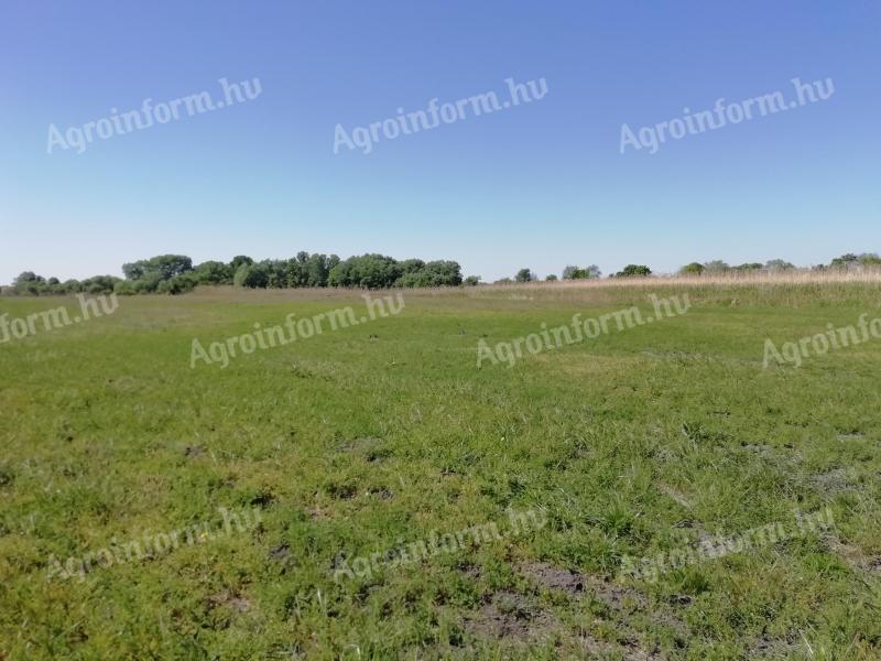 Prodaje se 3,1 hektara poljoprivrednog zemljišta u Sükösdu.