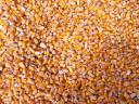 Grain maize for sale