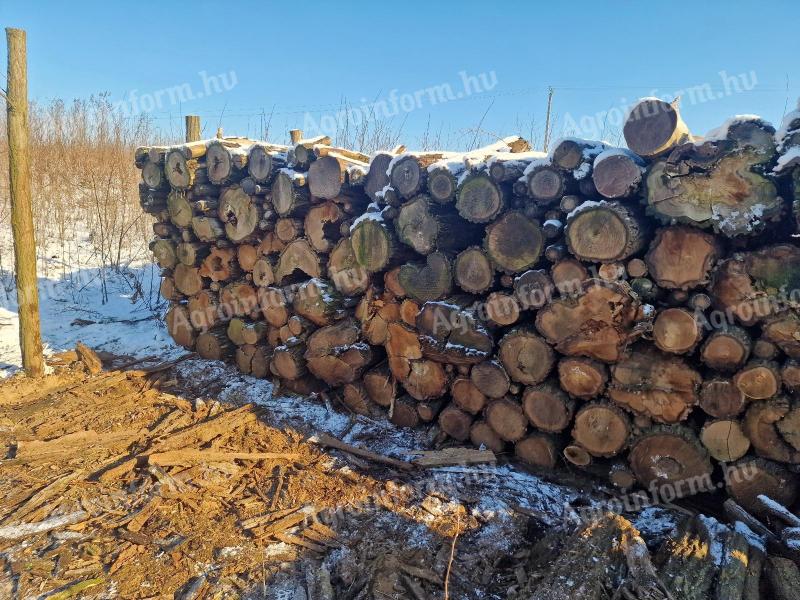 Prodej suchého akátového dřeva