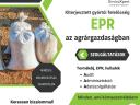 Kiterjesztett gyártói felelősség (EPR) és hulladékgazdálkodási tanácsadás