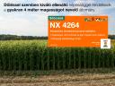 NX 4264 silócirok vetőmag KWS