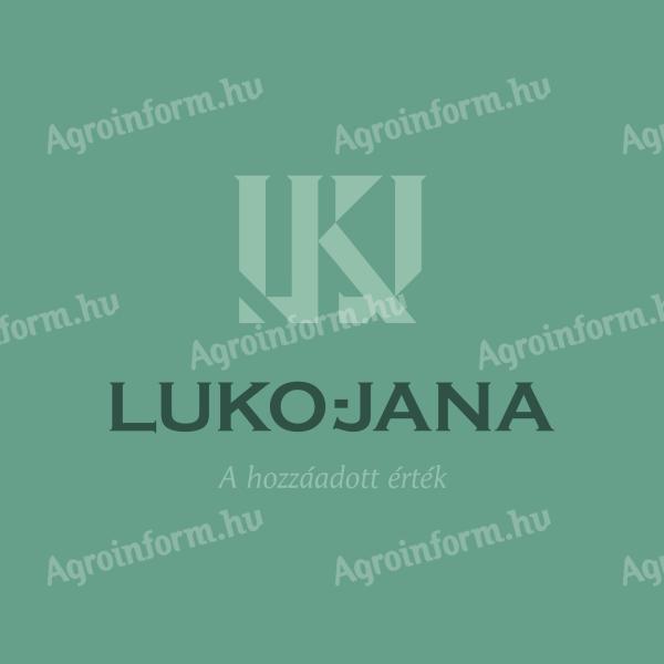 Pályázatírás helyett: teljes körű pályázatmenedzselés - Luko-Jana Kft.,  Kecskemét