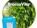 BROCCAVITA® Mikrobiális preparátum (AKG listázott termék) - lombtrágya - szel. baktérium