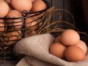 Friss termelői tojás