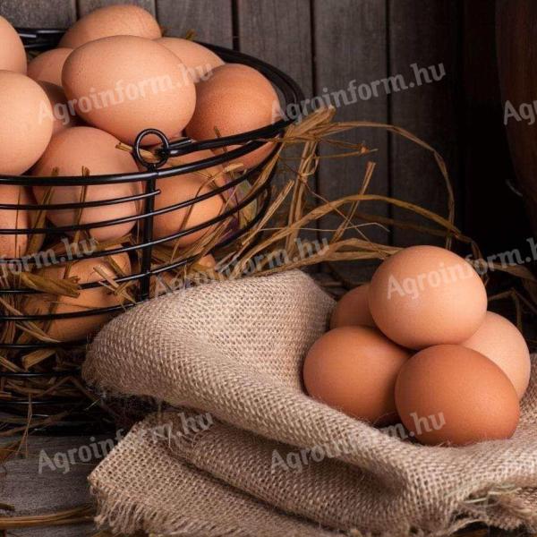 Friss termelői tojás