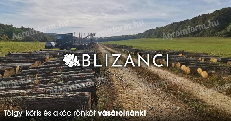 A BLIZANCI Kft. tölgy,  kőris,  akác és fekete dió rönköt vásárolna