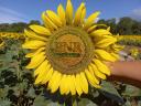 N-P-K listová hnojiva: obsah účinné látky vyšší než 62 % hmotnostních