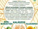 Damisol Gold Kalászos,  Nódusz és Gabona Sztár biokatalizátor levéltrágyák