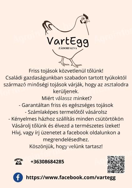 Конзумна јаја слободног узгоја на продају од произвођача