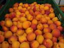 Aprikosen zu verkaufen