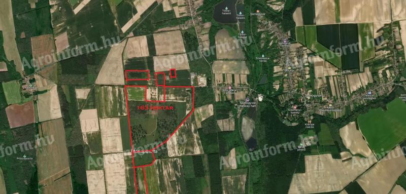 163 hektár szántó,  legelő és erdő eladó Somogyváron