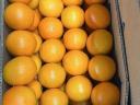 Édes narancs termék